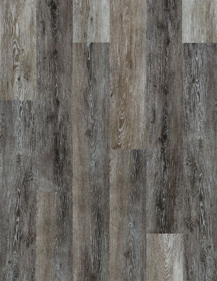 El proceso estadístico puro de las bacterias antis que solaba el grano de madera de madera grabó en relieve